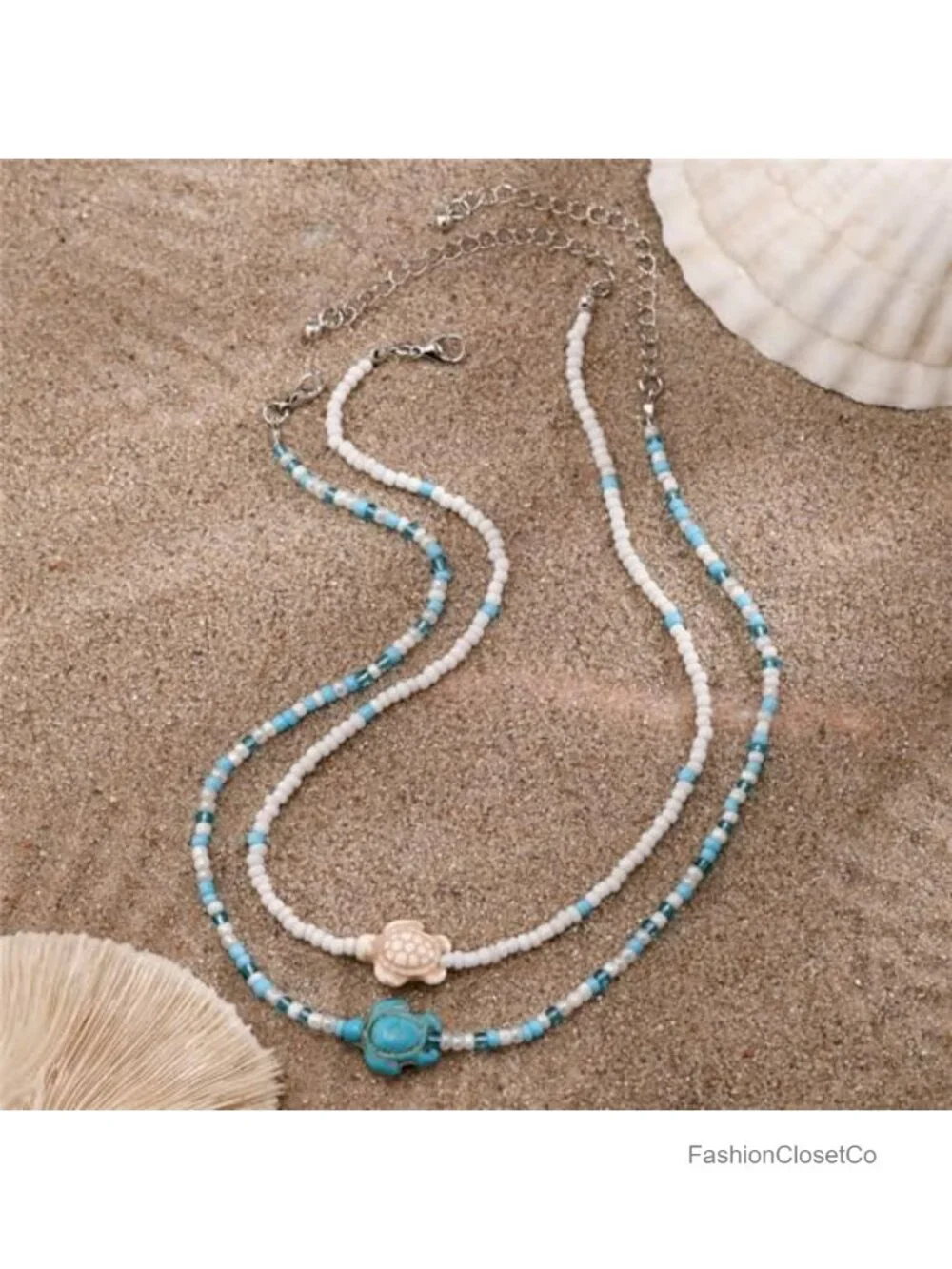 N/A this seashell